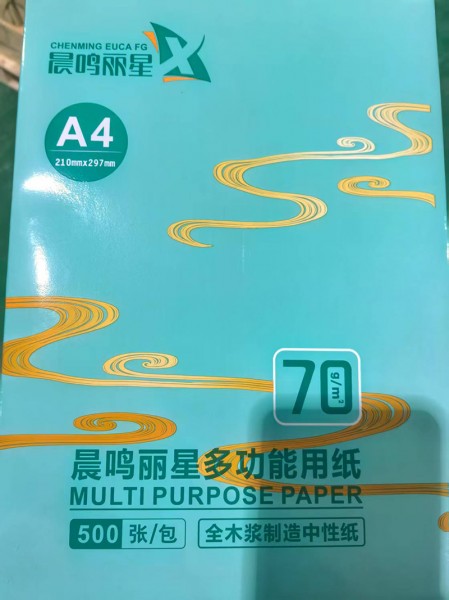 靜電復印紙5