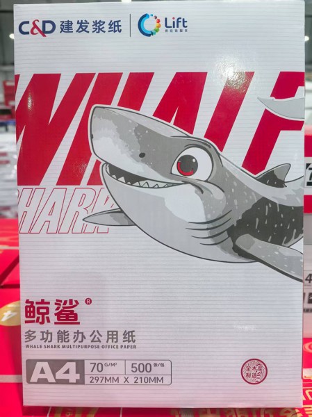 靜電復印紙10